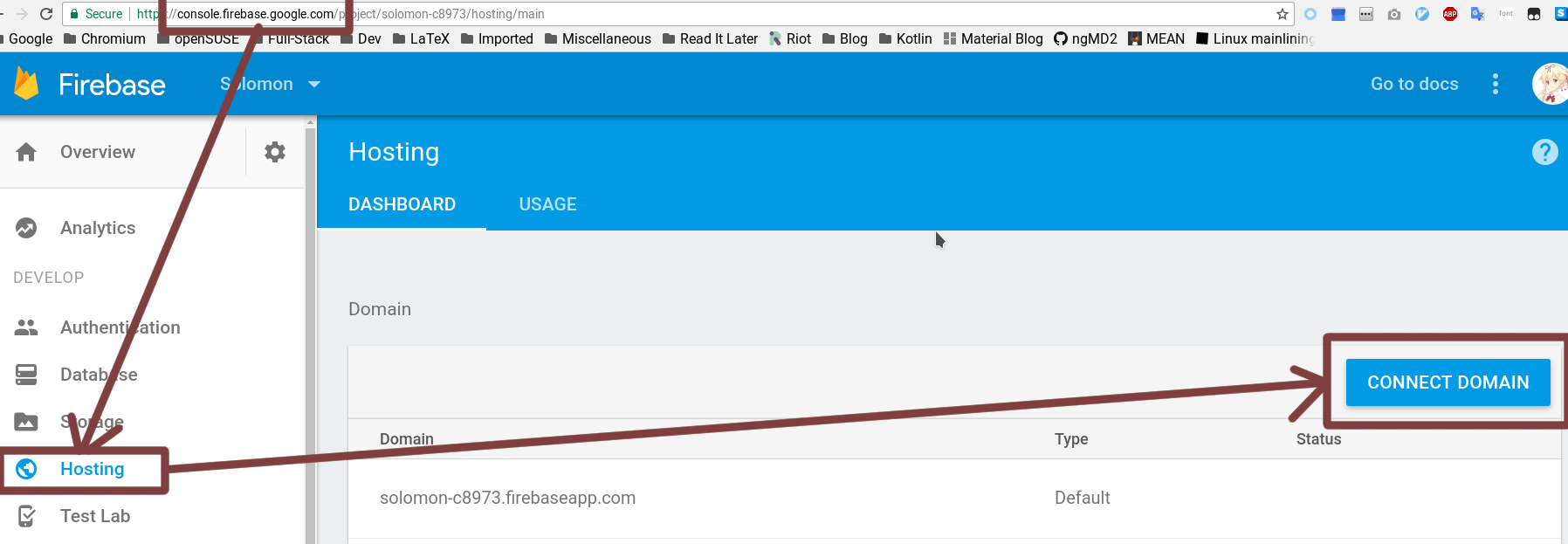 Firebase Connect Domain